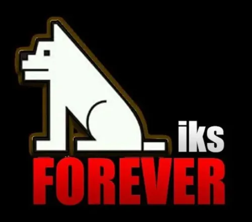 SERVEUR FOREVER IKS 12MOIS